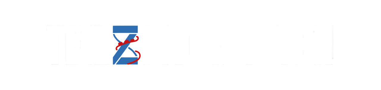 Teilzeitchaoten Logo